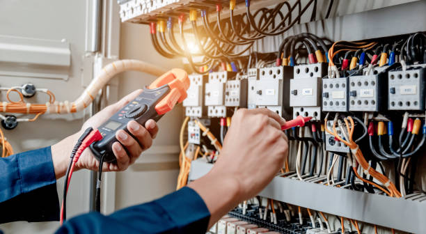 Best Electric Panel Repair  in Cedar Creek, TX